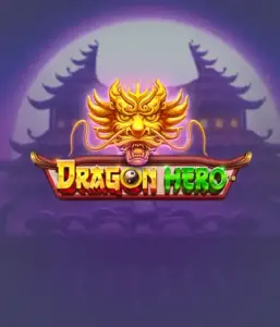 Enter a legendary quest with Dragon Hero Slot by Pragmatic Play, highlighting stunning graphics of ancient dragons and epic encounters. Discover a world where legend meets excitement, with featuring treasures, mystical creatures, and enchanted weapons for a mesmerizing slot experience.